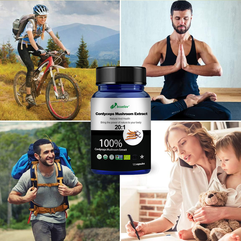 Капсулы с экстрактом гриба Кор – обзор и цена Herbal Wellness Water